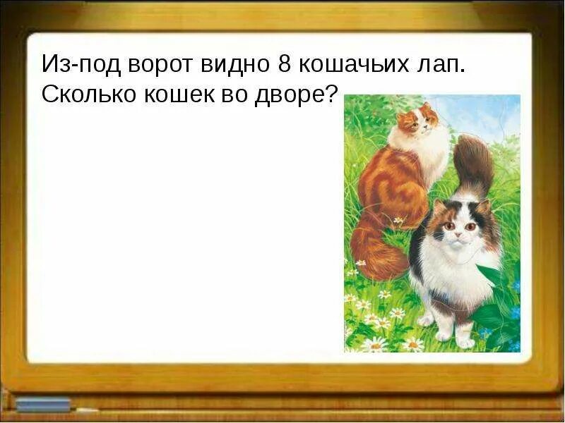 Сколько лап у 10 кошек. Из под ворот видно 8 кошачьих лап. из под ворот видно 8 кошачьих лап презентация. из-под ворот видно 8 кошачьих лап сколько кошек. из под ворот видно 6 кошачьих лап презентация.