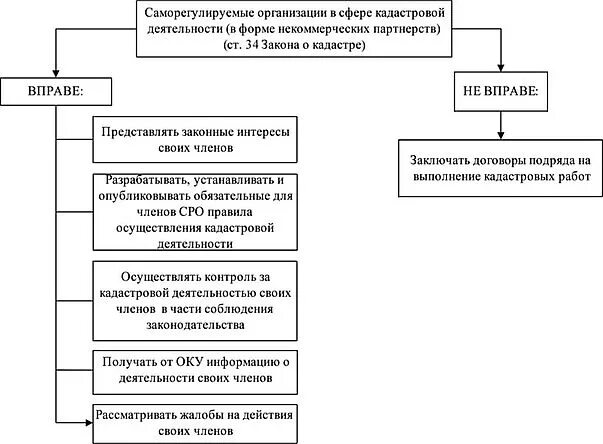 Кадастровую деятельность осуществляет. Саморегулируемые организации в сфере кадастровой деятельности. Кадастровая деятельность схема. СРО В сфере кадастровой деятельности. Саморегулируемая организация.