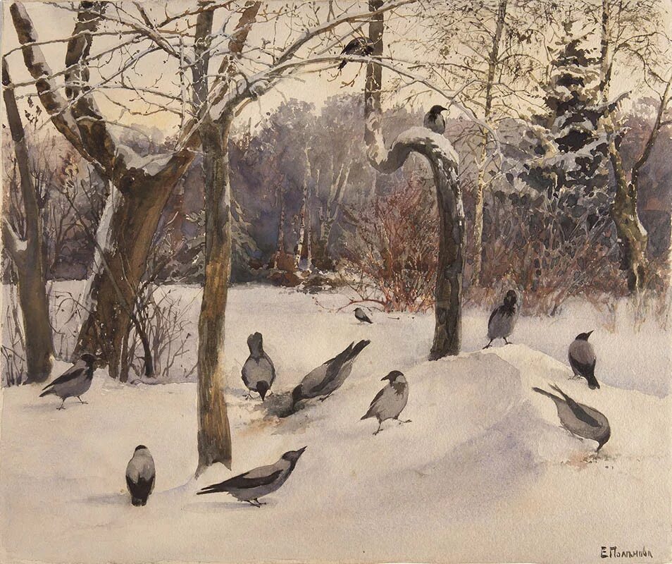 Where winter crows go