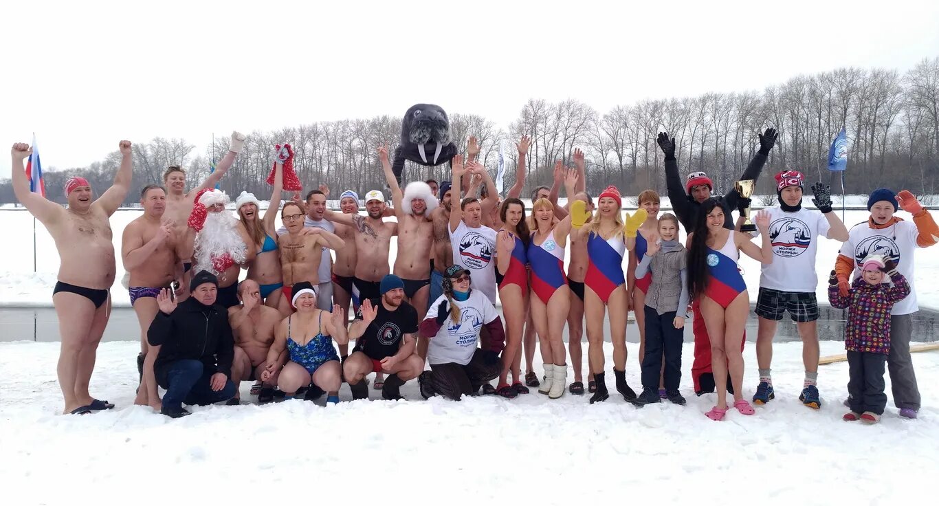 Новогодний морж. Моржи столицы. Клуб моржей. Моржи столицы москва. Клуб моржей щукино.