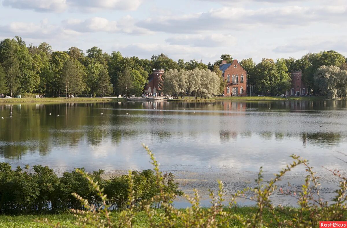 екатерининский парк зеркальные пруды. екатерининский парк большой пруд. екатерининский парк царское село пруд. пруд в екатерининском парке. екатерининский парк царское село.