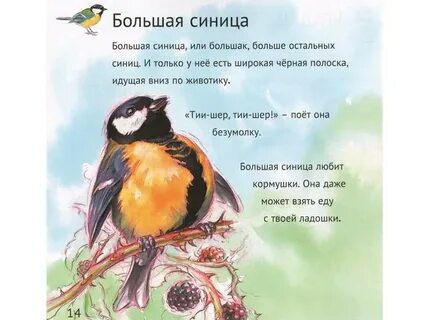 Читать про птиц