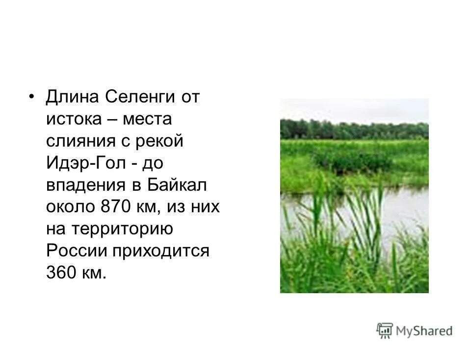 селенга какое течение. исток и устье реки селенга. селенга какое течение. селенга какое течение. селенга какое течение.