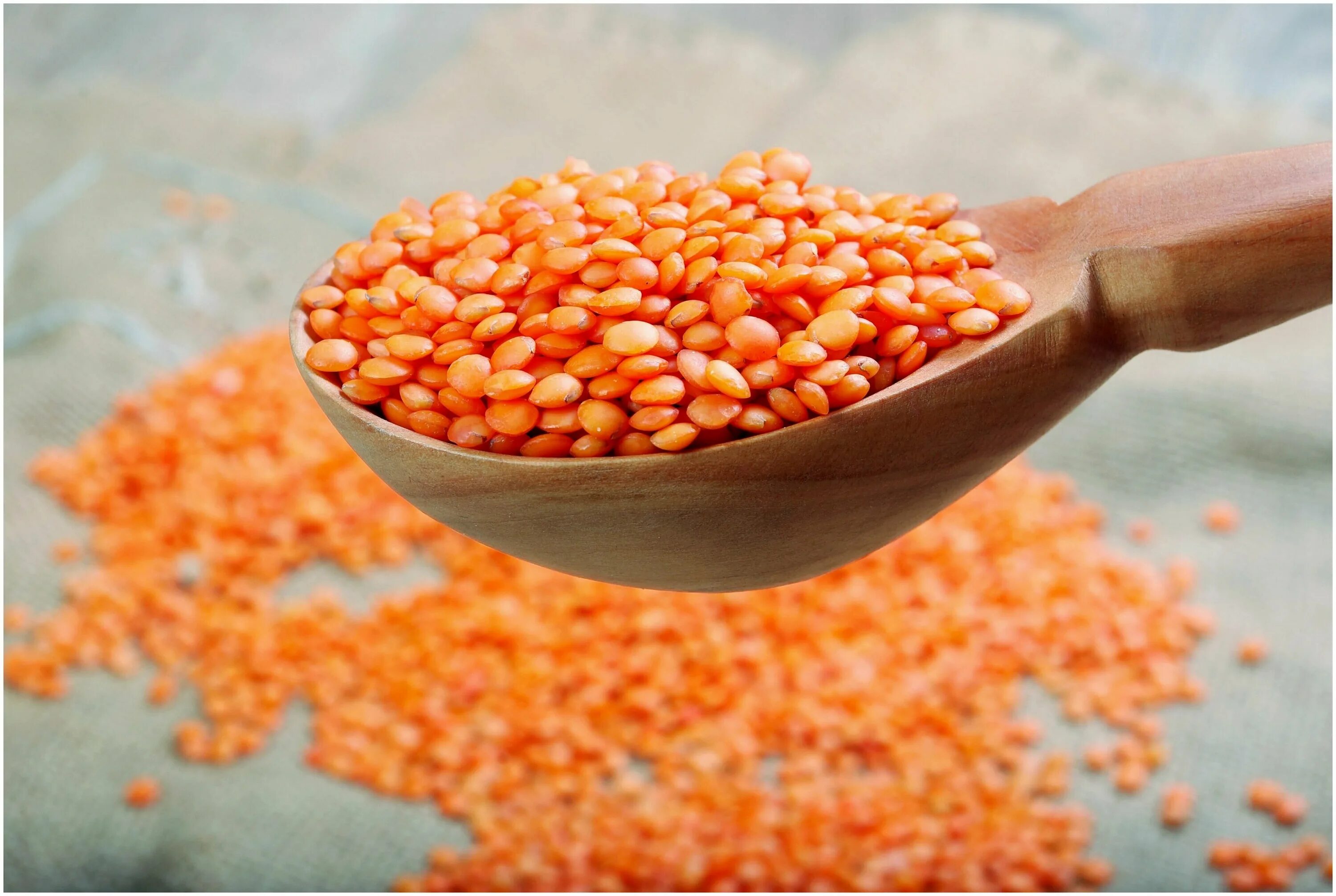 чечевица оранжевая. чечевица зеленая тарелочная. чечевица красная (вес-500 г). 1 чечевица. чечевица пищевая.