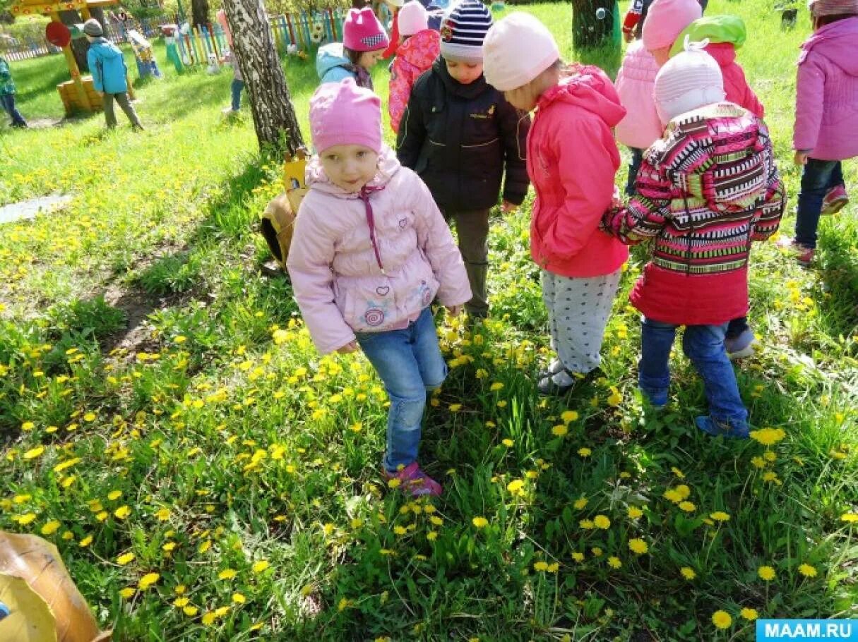 Дети на прогулке в саду. Дети на прогулке весной. Наблюдение с детьми на прогулке. Весенняя прогулка в детском саду