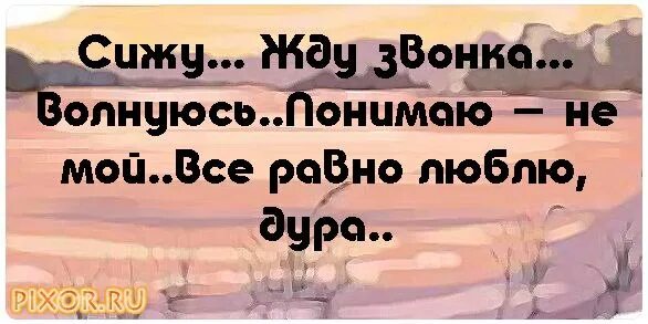 Дура сидит. Так и не дождалась твоего звонка. Жду твоего звонка. Жду твоего звонка любимый. Жду смс от тебя.