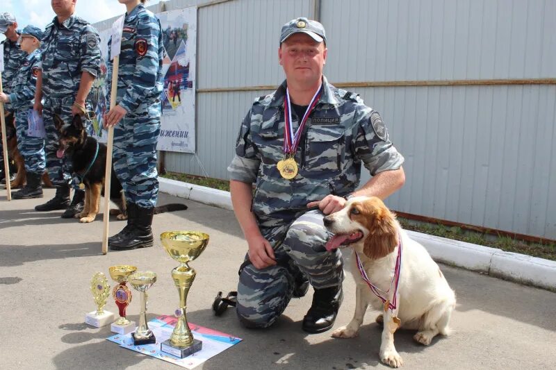 Кинологическая служба тавды свердловской области. Инспектор кинолог. Инспектор кинолог. Кинологический отдел таможни. Инспектор кинолог.