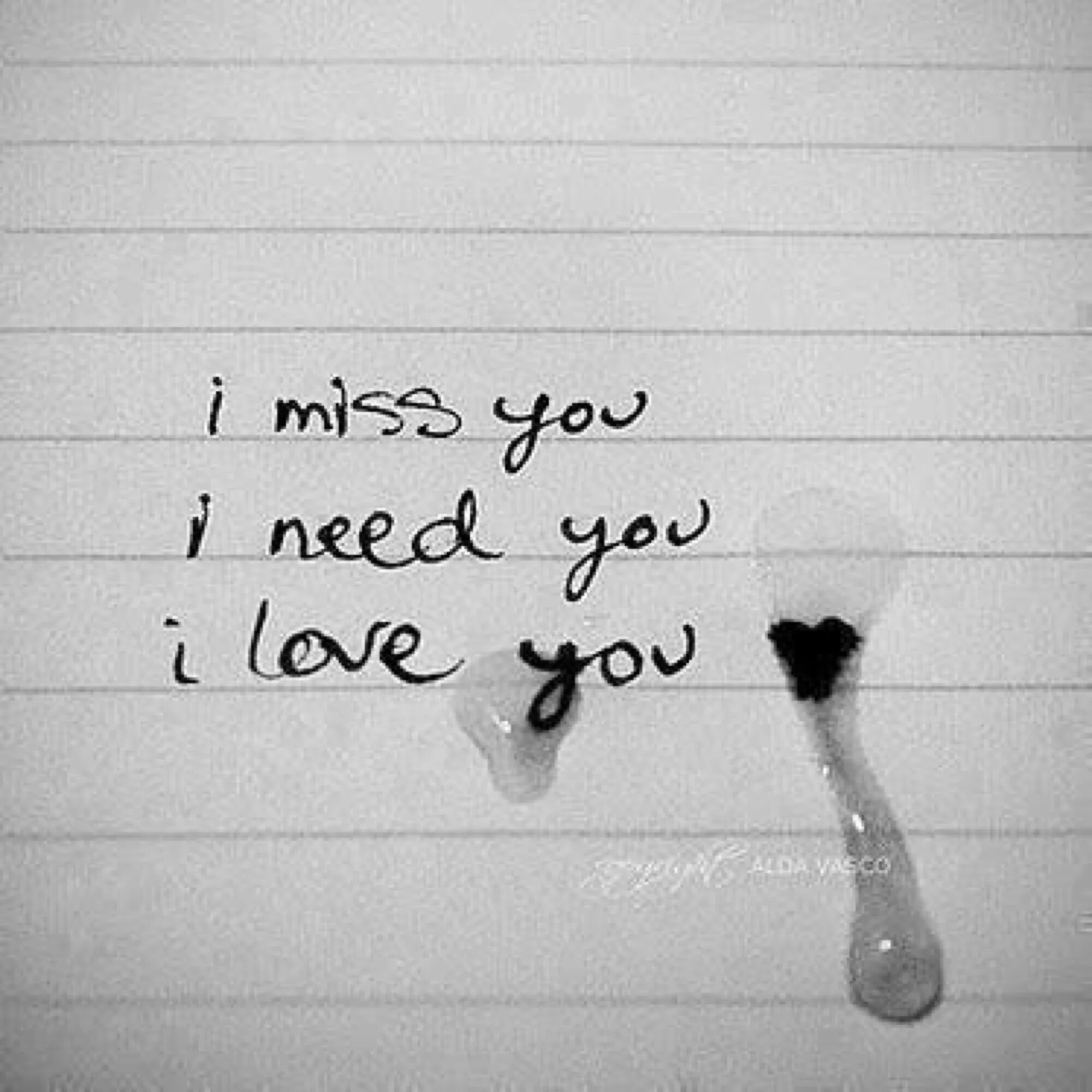 I need a lover. I need a lover