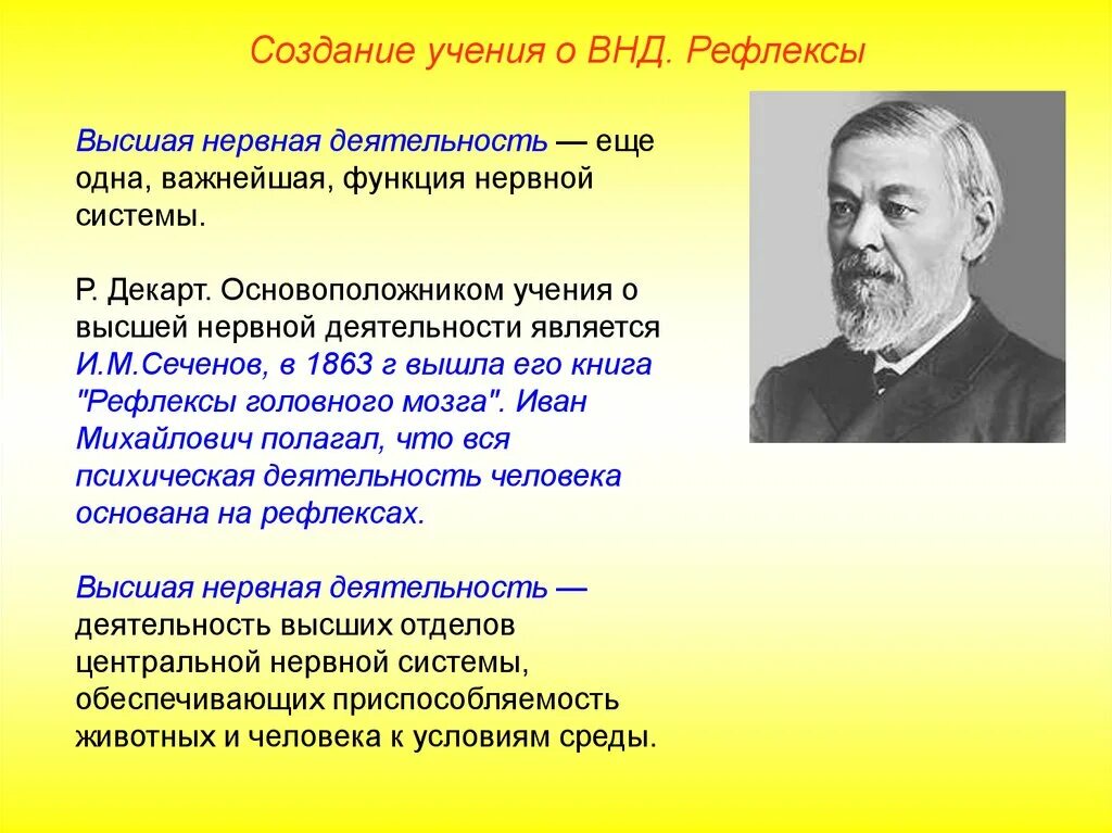 Термин высшая нервная деятельность предложил. Сеченов и Павлов учение о высшей нервной деятельности. Учение Сеченова и Павлова о высшей нервной деятельности. Основоположником учения о высшей нервной деятельности человека был:. Вклад Сеченова и Павлова в развитие учения о ВНД.