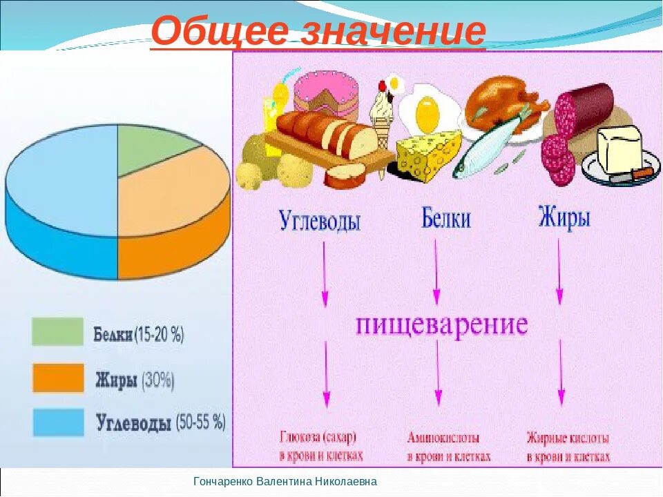 Основные источники белков жиров углеводов. Схема питания белков жиров углеводов. Схема питания углеводы белок жиры. Схема правильного питания белки жиры углеводы. Презентация белки жиры углеводы.