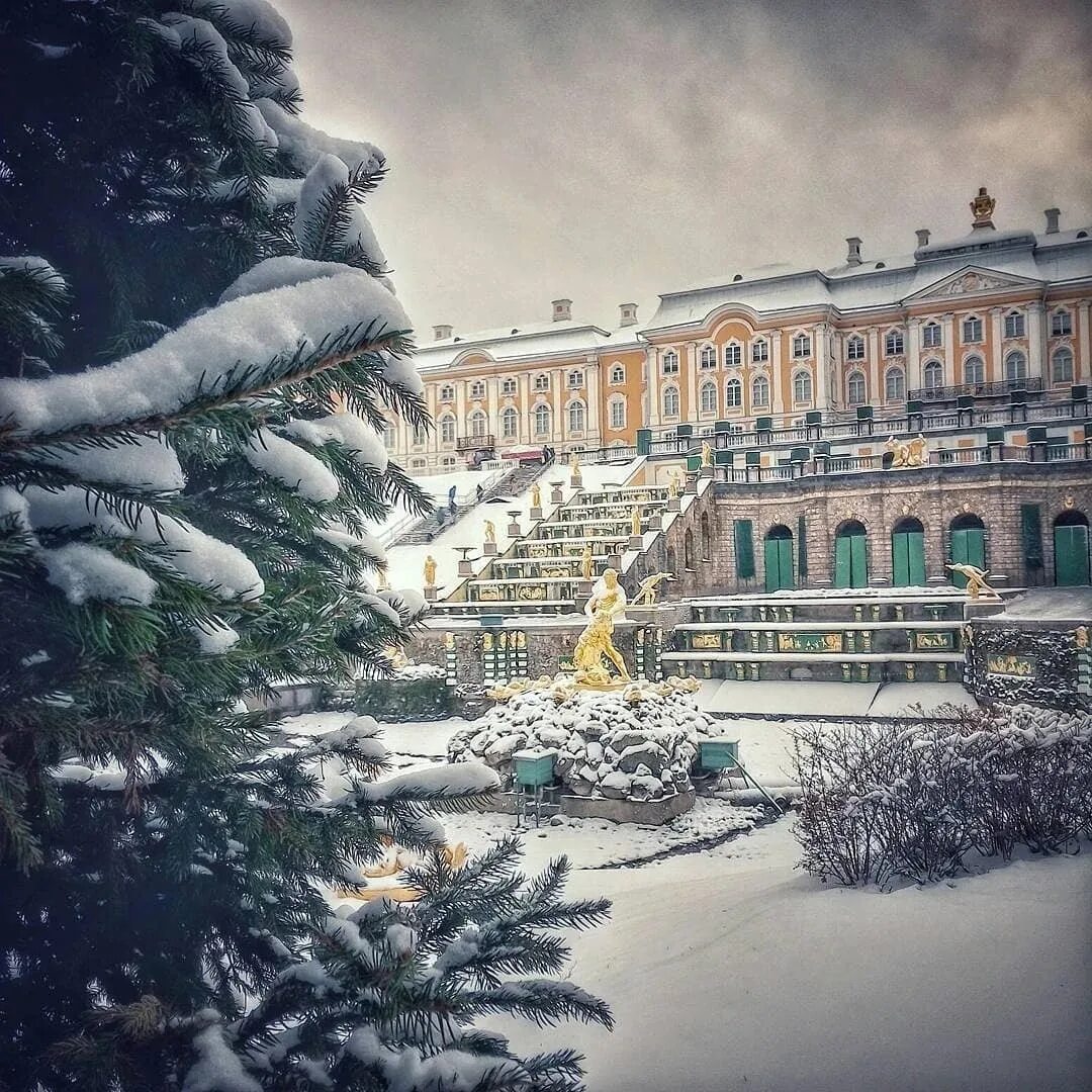 Зимние каникулы в питере. Петергоф в питере зимой. зимний дворец петергоф нижний парк зимой. заснеженный петергоф. петергоф в санкт-петербурге зима 2025.