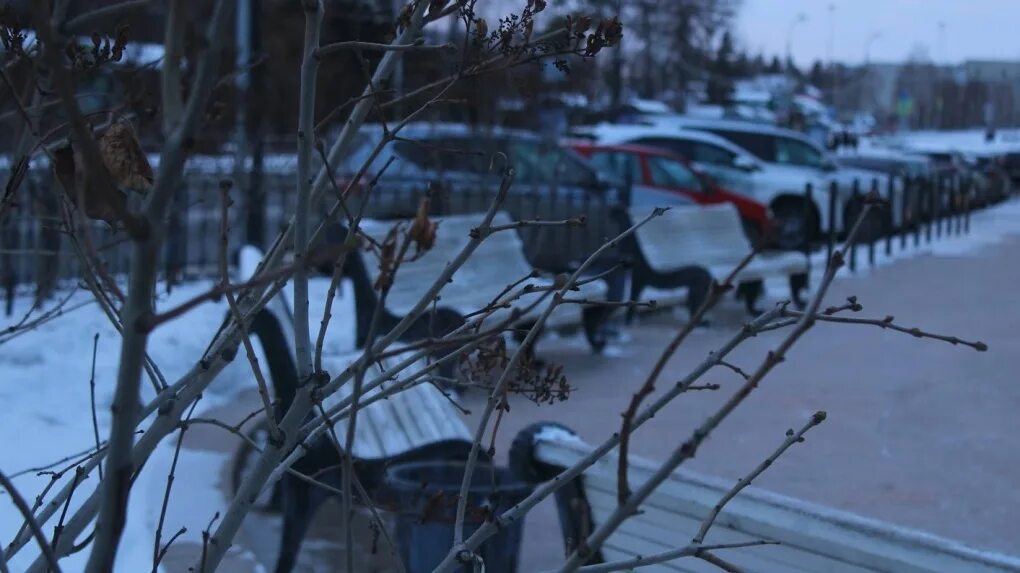 Зима январь. Конец января. Омская область зимой. Снежная зима в северных районах. Первые дни января 2024 года