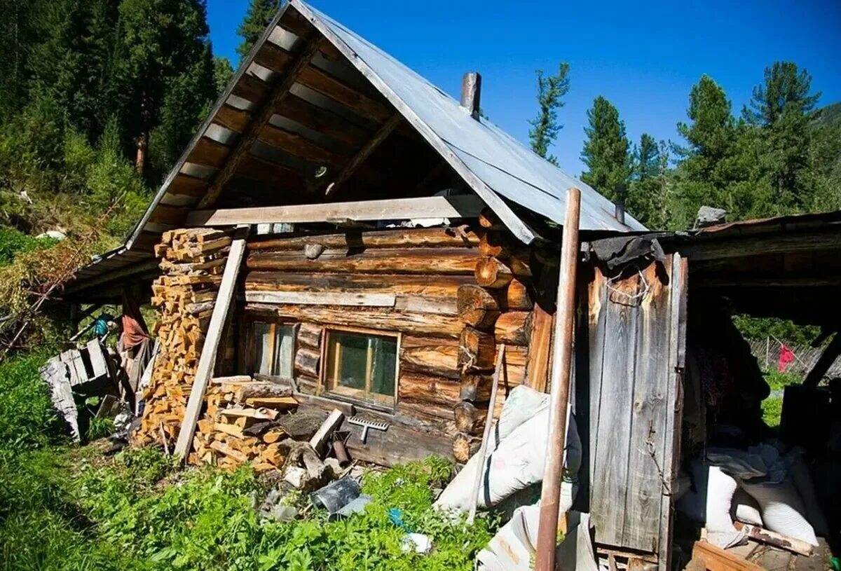 Дом Агафьи Лыковой. Новый дом Агафьи Лыковой. Новый дом Агафьи Лыковой в тайге.