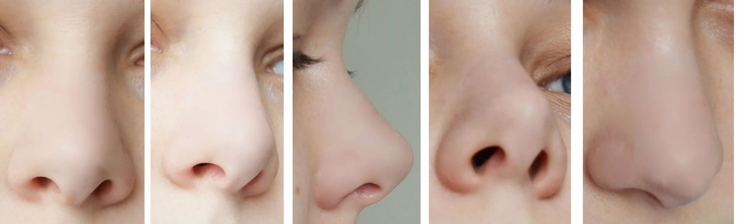 Нос снизу. Человеческий нос. Нос в разных ракурсах. Нос референс. Нос ракурсы.