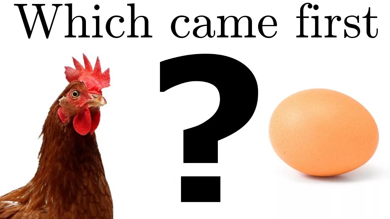 Яйцо и курица что раньше. Chicken or egg question. Which came first the chicken or the egg. Who came first chicken or egg. Which came first the chicken or the egg.