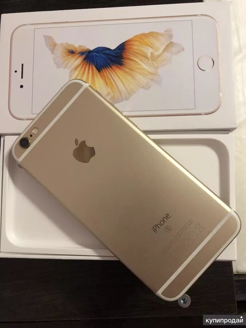 Как выглядит оригинальный айфон 6s. Айфон 6s в москве оригинал. Iphone 6s space gray. Iphone 6s gold. Apple iphone 6s 64g.