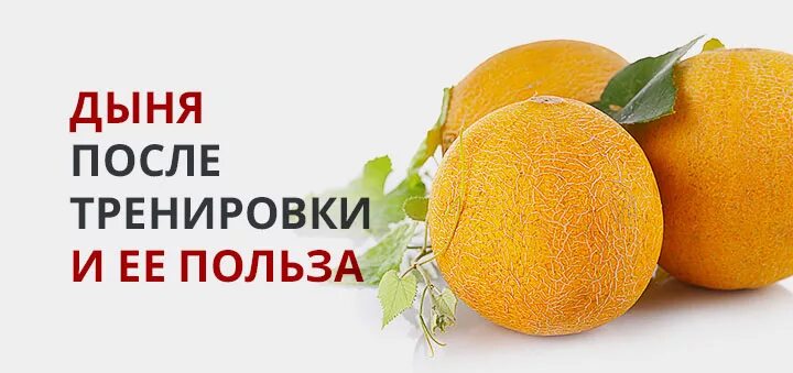 После дыни пить воду. Дынное молоко. После дыни пить воду. Как правильно выбрать дыню торпеду. Как выбрать вкусную дыню.