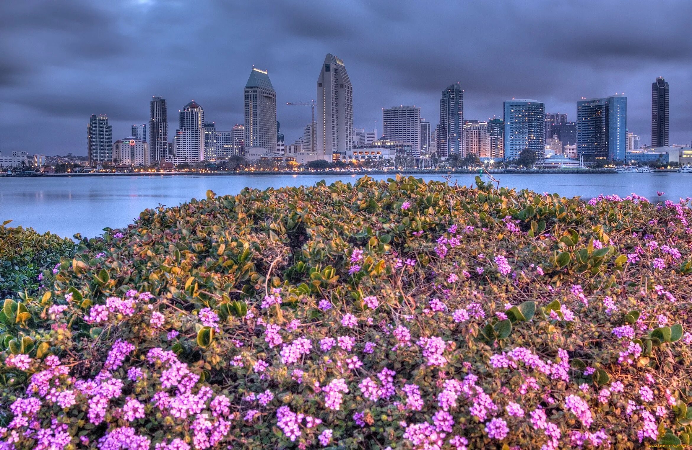 топиари парк айва. ванкувер город в канаде климат. ванкувер канада летом. цветники в городе. город растительность.