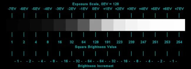 Ансель адамс зонная система. Зонная шкала адамса. Таблица ансела адамса. Таблица ансела адамса. Ансель адамс зонная система.