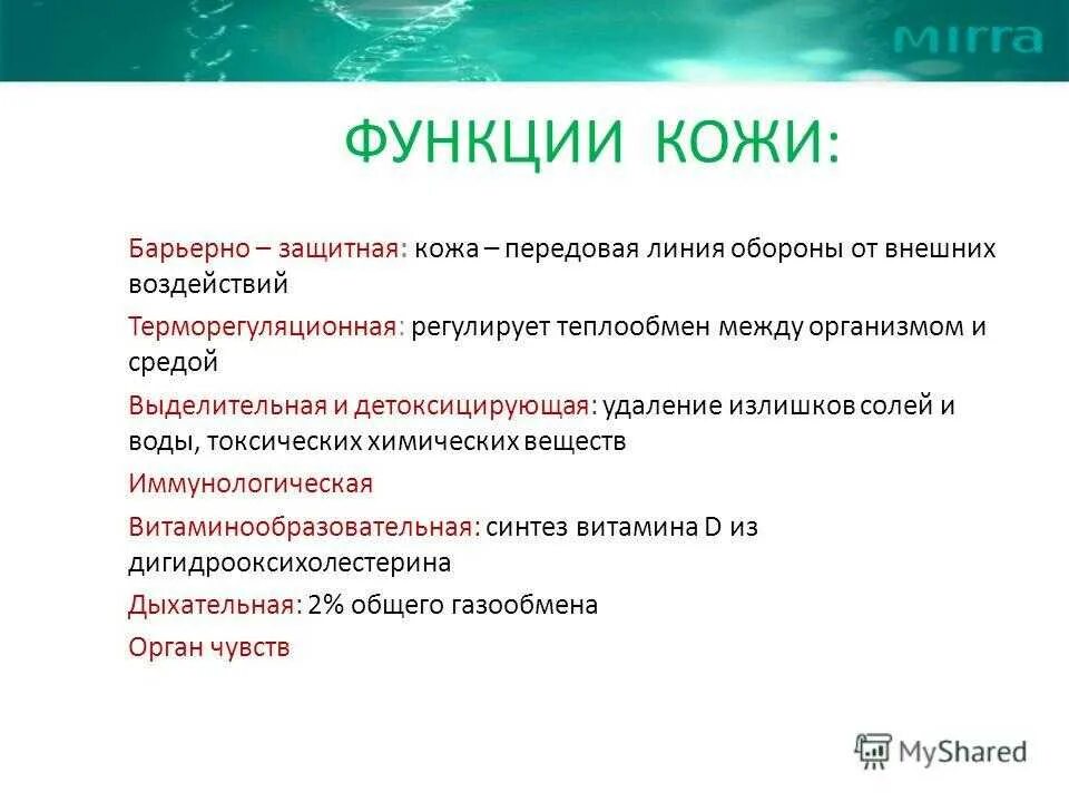 Опорная функция кожи. Выписать функции кожи. Основные функции кожи кратко. Питательная функция кожи. Функции кожи человека.