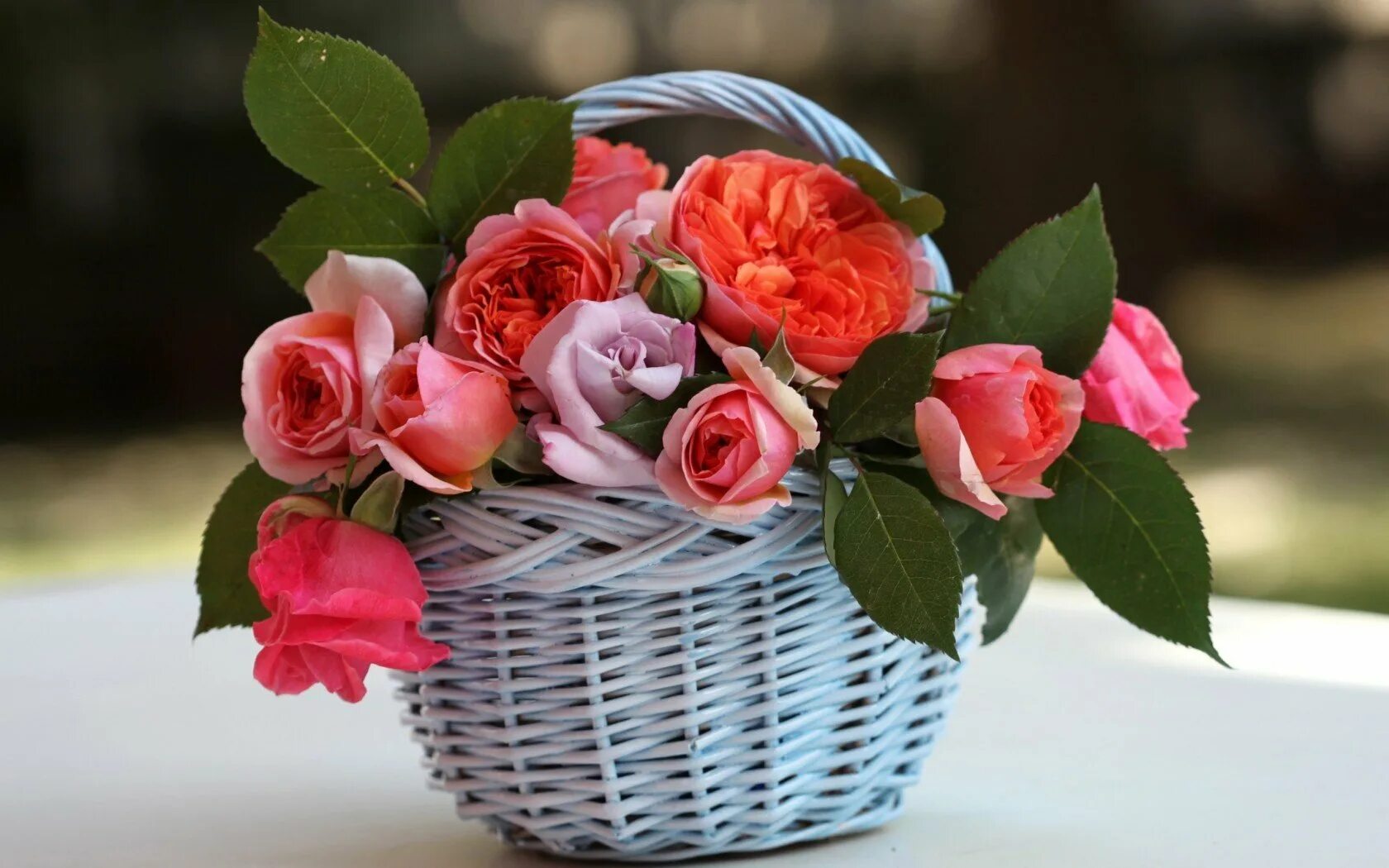 Шикарные цветы. Красивый букет цветов. Корзина с цветами. Открытки с цветами красивые.