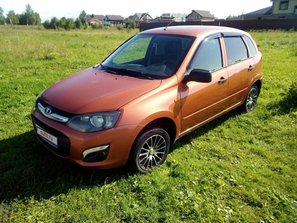 цвета калины хэтчбек