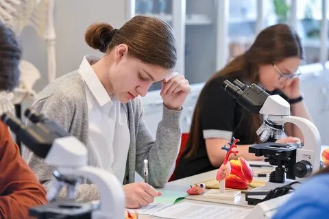 Школа без профильных классов