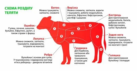 Где находится говядина