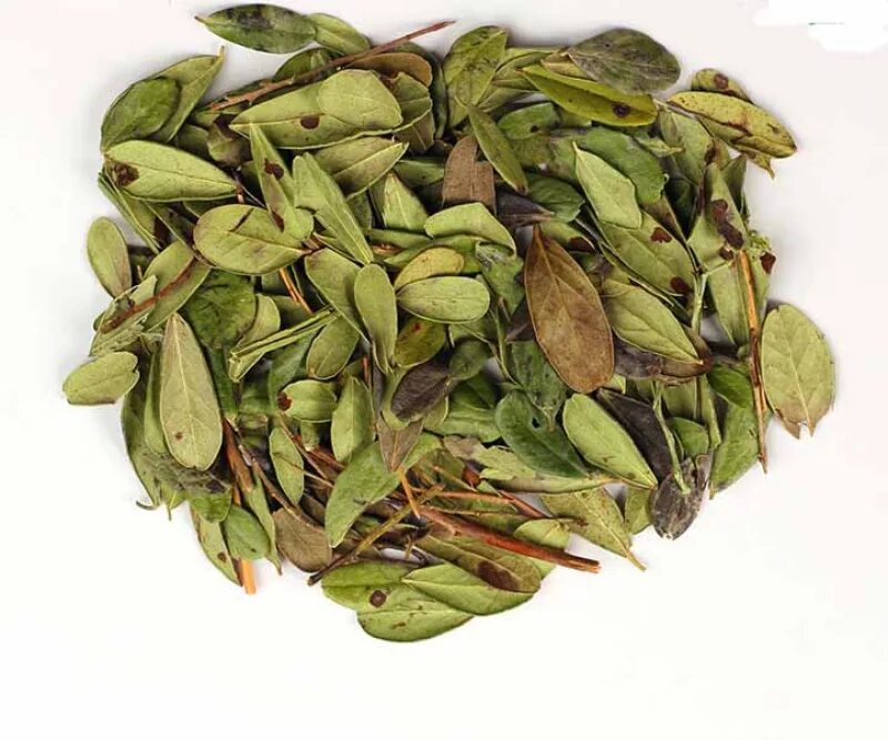 брусника обыкновенная сырье. брусника лрс. листья брусники измельченное сырье. брусника обыкновенная сырье. сырье брусники.