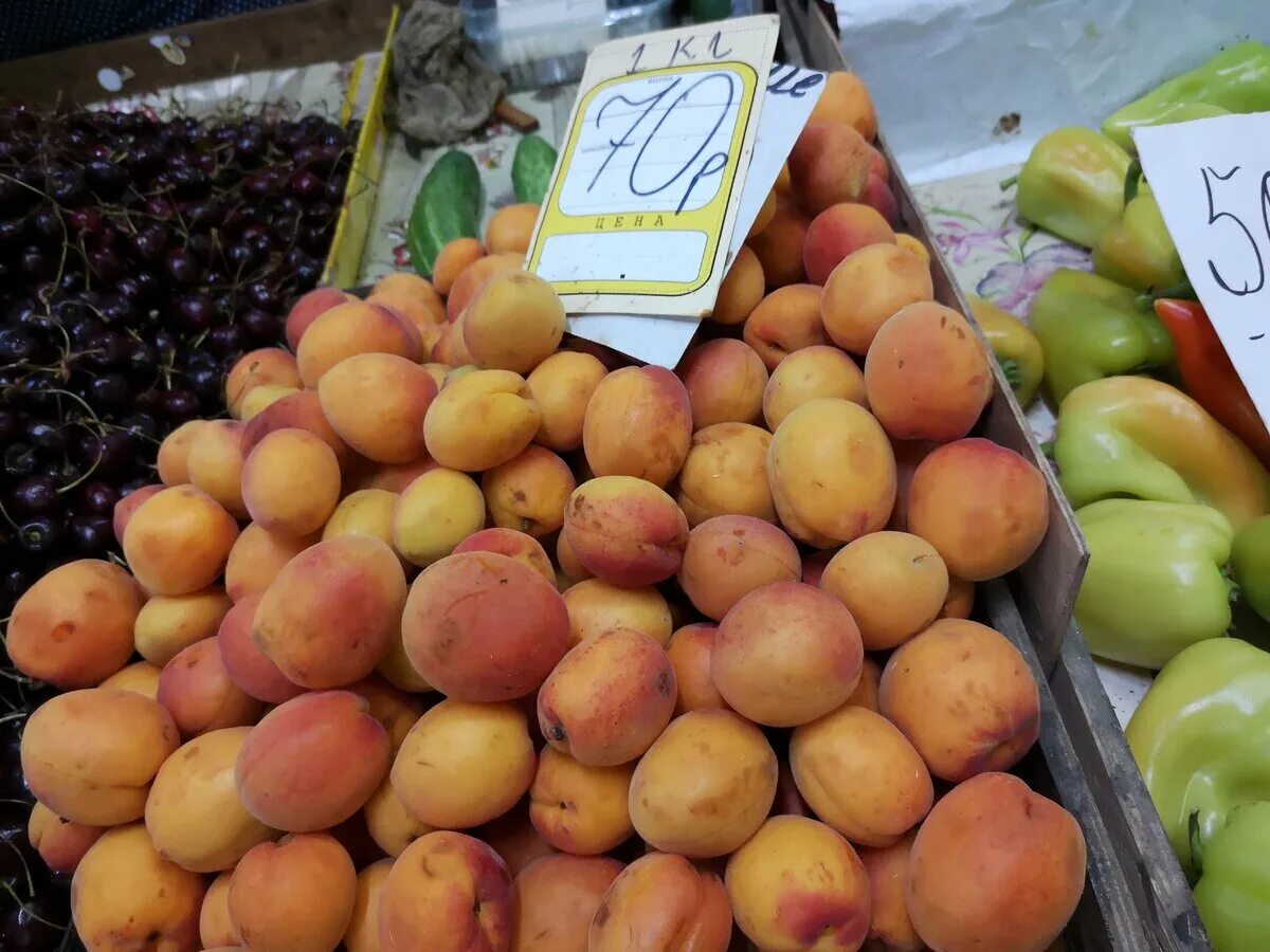 Дыня на рынке. Абрикосы в ящике. Килограмм абрикосов стоит. Абрикосы на рынке. Абрикосы на базаре.