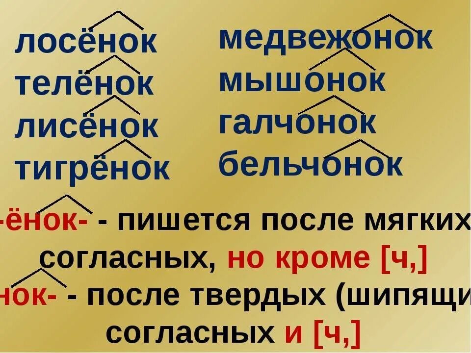 Памятка правописание суффиксов Онок ёнок. Правописание суффиксов Онок ёнок. Правописание суффиксов Онок енок. Правописание суффиксов Онок ёнок после шипящих.