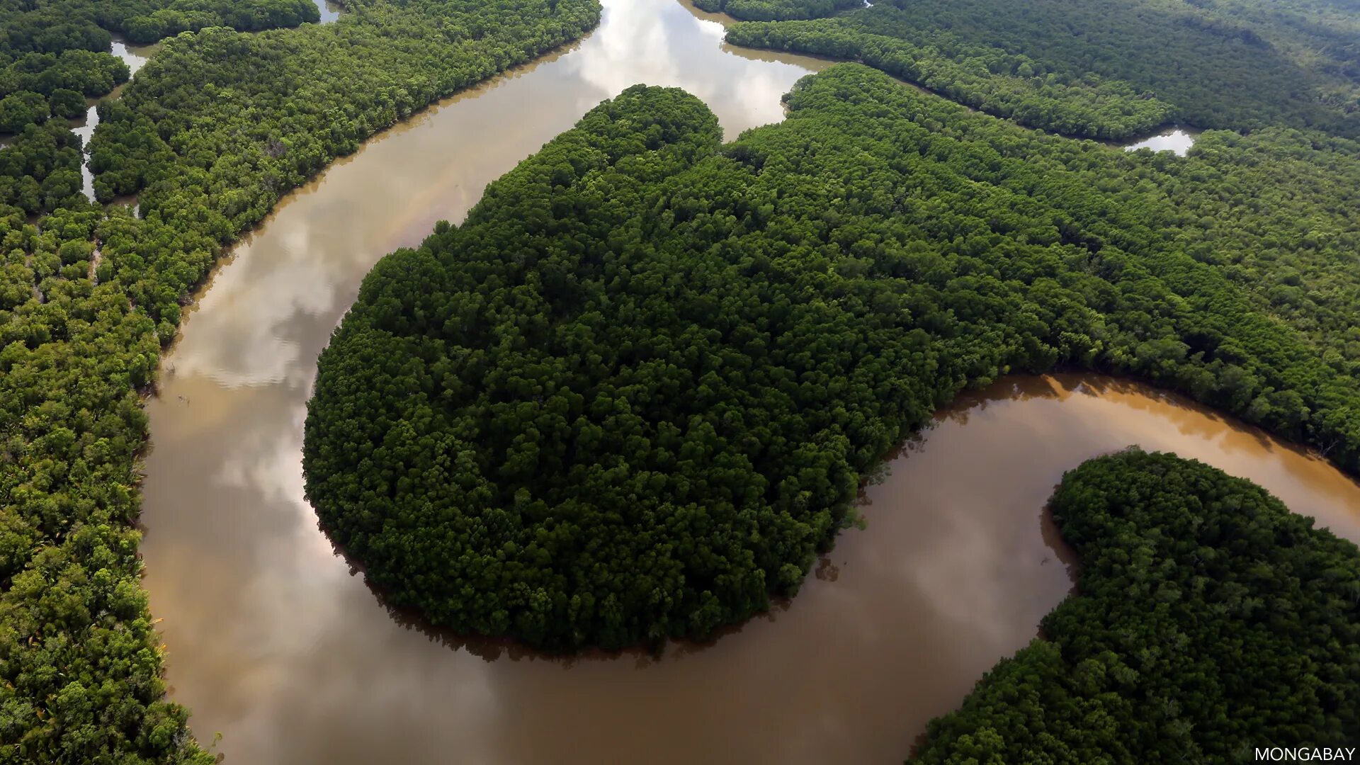 Amazon borneo congo. Реки Борнео. Кинабатанган (река). Борнео остров реки Борнео.