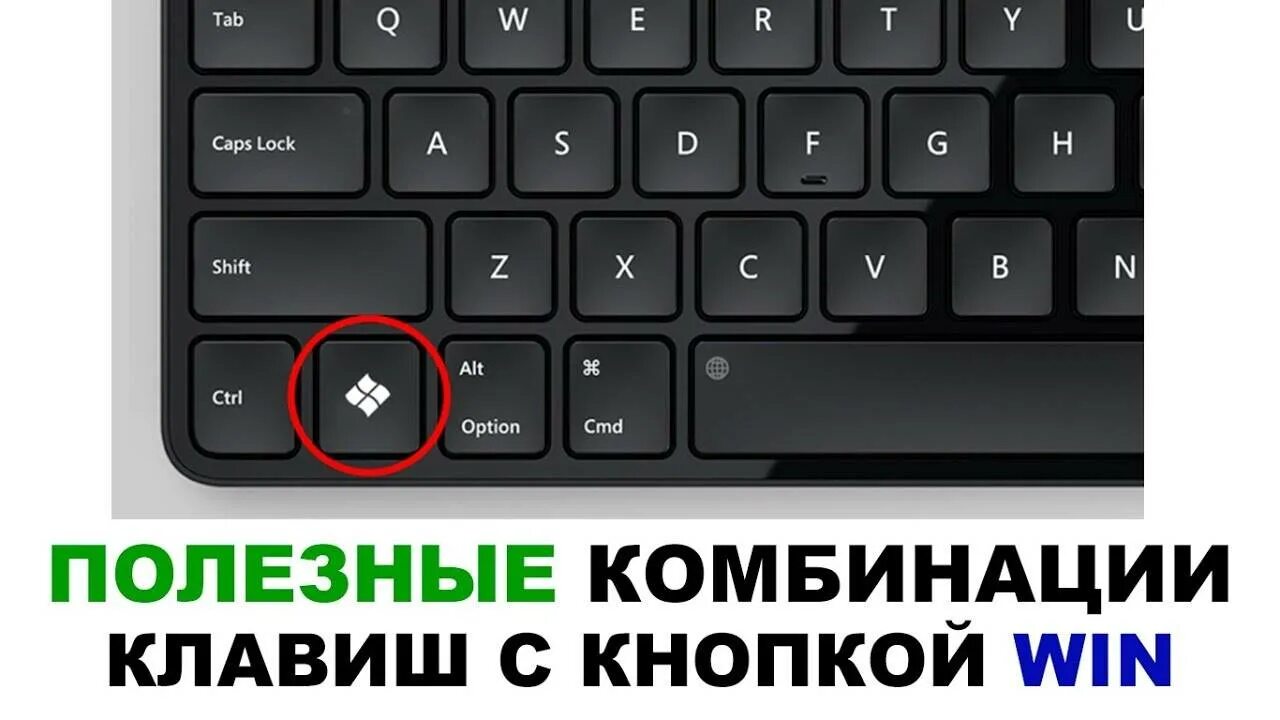 Где кнопка поиска. Кнопка win. Клавиша win на клавиатуре. Кнопка win на клавиатуре компьютера. Кнопка win на клавиатуре ноутбука.