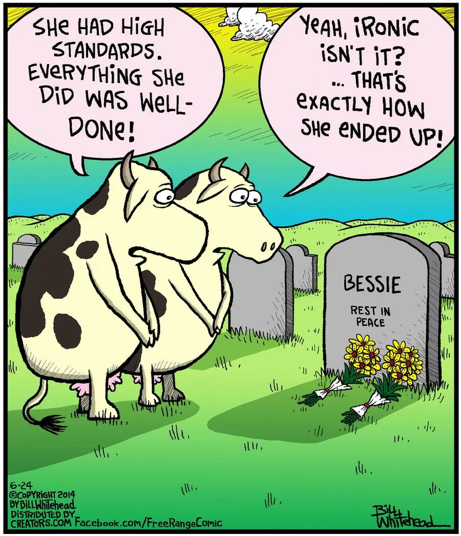 Heading joke. Jokes about animals. the joke about. animal joke. joke about kids.