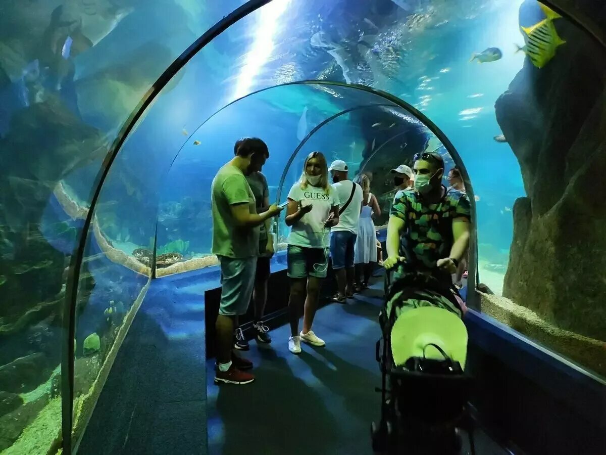 Океанариум омск. Океанариум пенза. Океанариум в туле. Bournemouth oceanarium. Манила оушен парк.