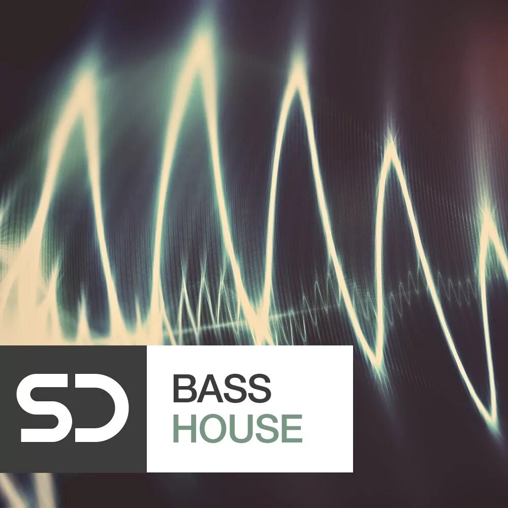 Басс Хаус. Bass House Music. Бас Хаус картинки. Bass House надпись. House bass music