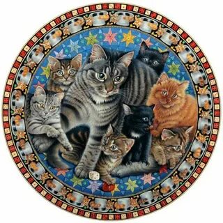Круглых котиков