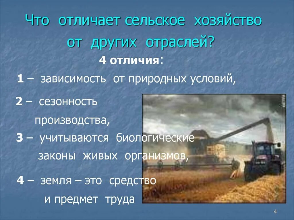 Чем отличается хозяйство. Сезонное производство. Сезонность производства. Сельское хозяйство как отрасль экономики. Сезонность в сельском хозяйстве.