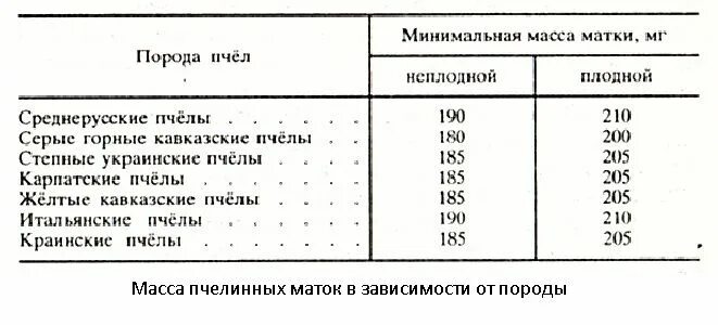 вес пчел в улье. яйценоскость матки. сколько пчел в рое. численность пчел. пчелиная масса.