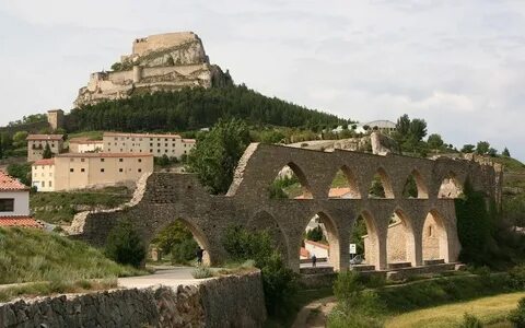 Morella