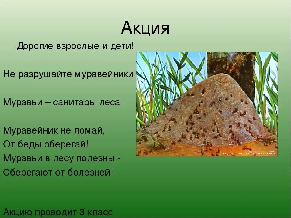 Строение муравейника для детей. Как пишется слово муравейник. Как пишется слово муравейник. Как пишется слово муравейник. Книги про муравьев для детей.