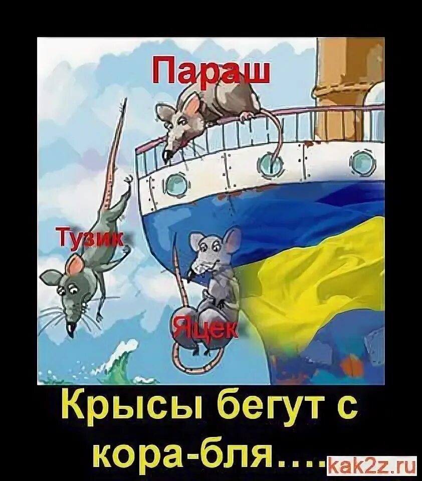 Просто прикольные картинки дня... пироги Цитаты, Вдохновляющие цитаты и Юмор