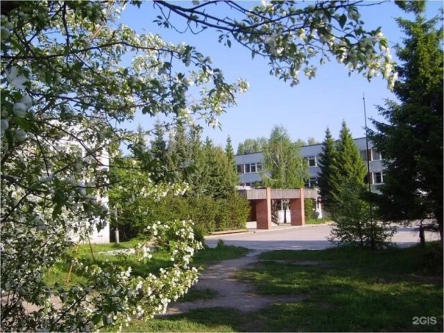 Лицей краснообск. Школа 2 краснообск. краснообск новосибирская область школа 2. гимназия краснообск. школа 1 краснообск.