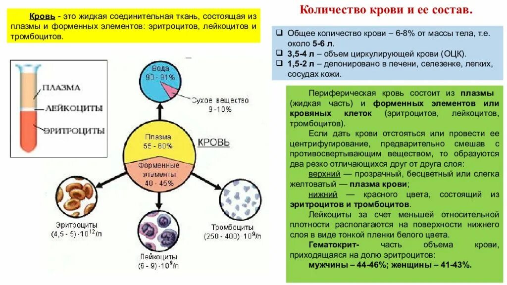 Сколько клеток крови. Изменение заряда эритроцитов. Заряд эритроцитов в крови. Количество клеток крови. Кол во и состав крови.