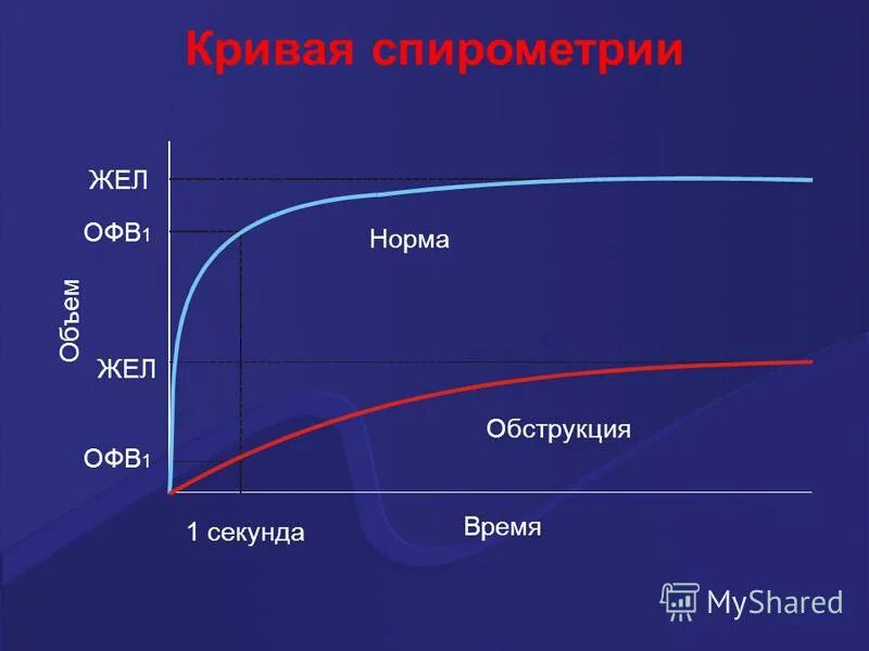 спирометрия жел норма