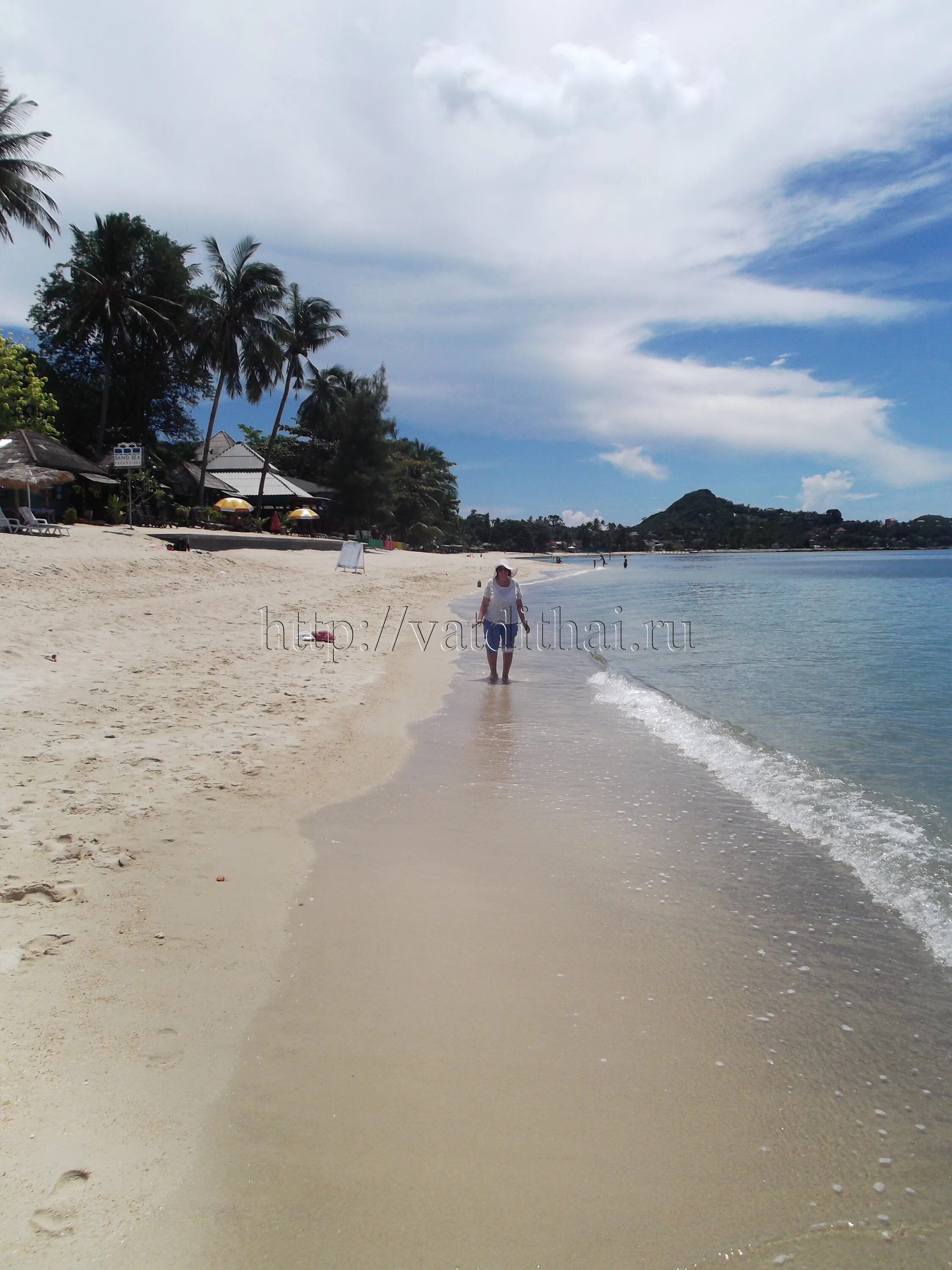 остров самуи в июне. погода на самуи в июле 2022 фото. пляж банг по самуи. самуи в июле. порт кох самуи.