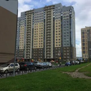 Гуси лебеди на туристской