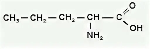 4,4 диметил 2 аминопентановая кислота. 3 метил 2 аминопентановая кислота. 4 метил амино пентановая кислота. 3 метил 2 аминопентановая кислота. Валин нагревание реакция.