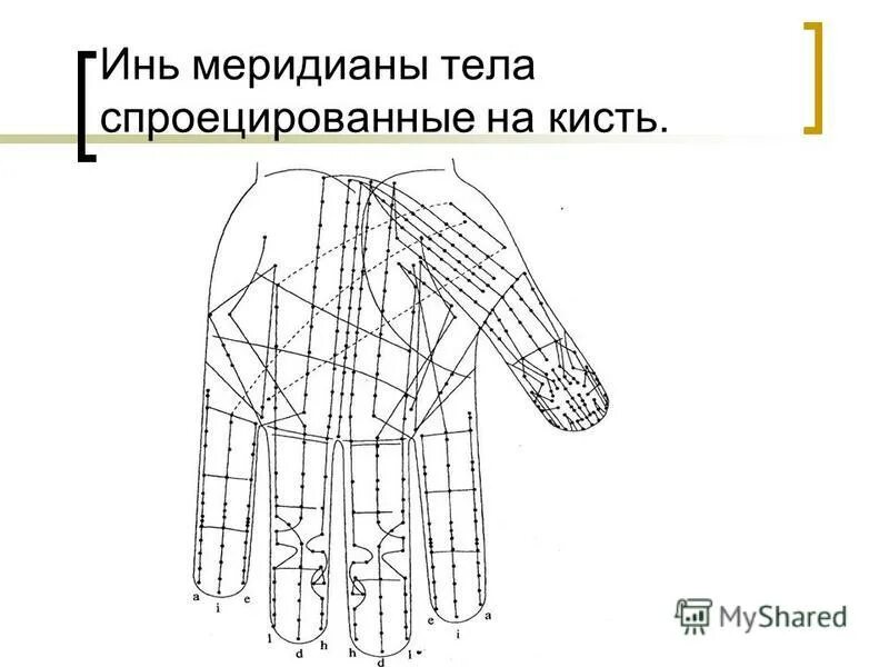 меридиан инь цзяо. канал печени в китайской медицине. тянь чжун. меридиан селезенки. инь меридианы.