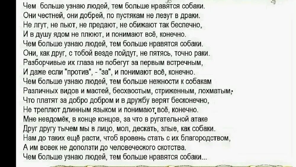 Более чем понравилось. Стих чем больше узнаю людей тем больше нравятся собаки. Стих чем больше узнаю людей. Чём больше узнаю людей тем больше нравятся собаки. Чем больше узнаю людей тем больше нравятсясобакт.